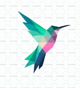 Geometrischer Kolibri